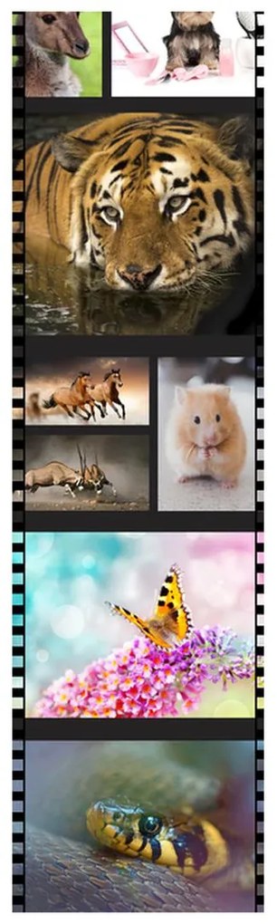 Fotojaluzele R014981R42150 (42x150 cm)