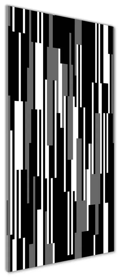 Tablou sticlă acrilică Linii negre și albe