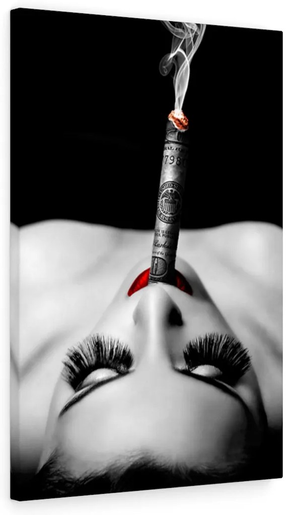 Tablou canvas Smoking Money 120x80 cm