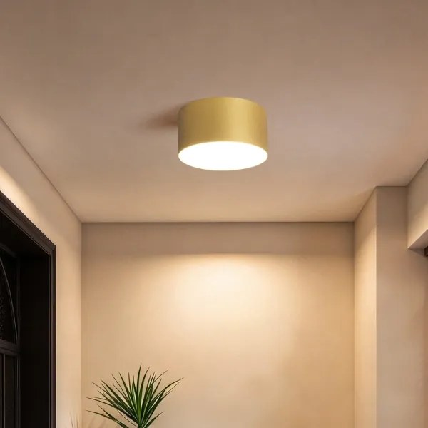 BRILAGI - Plafonieră LED pentru baie FORIS LED/14W/230V Ø 12 cm aurie IP4