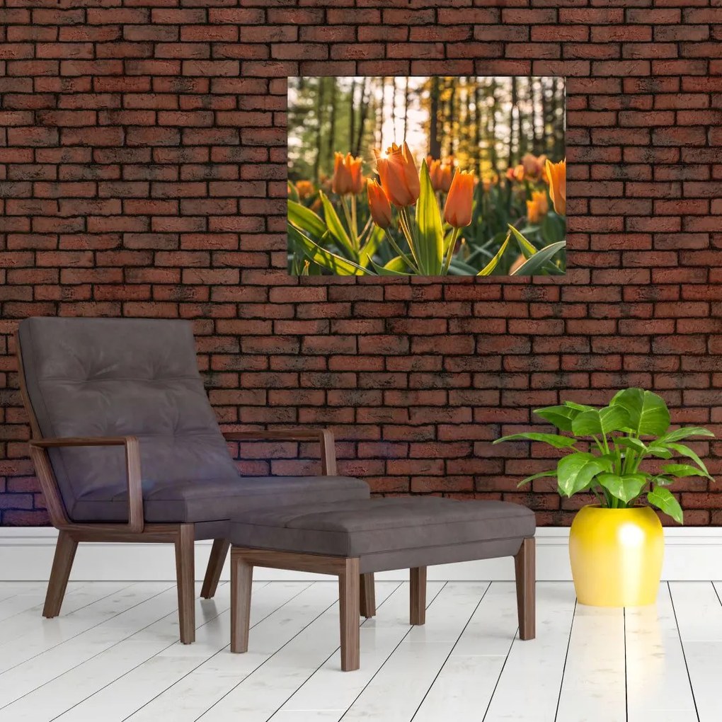 Tablou - florile lalelelor (70x50 cm)