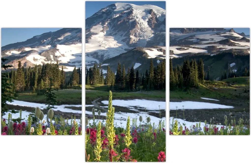 Tablou - Muntele Rainier (90x60 cm)