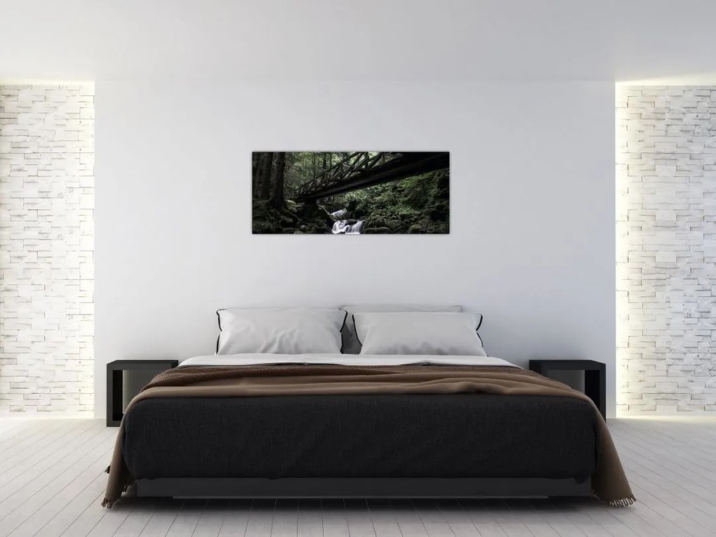 Tablou din pădurea neagră (120x50 cm)