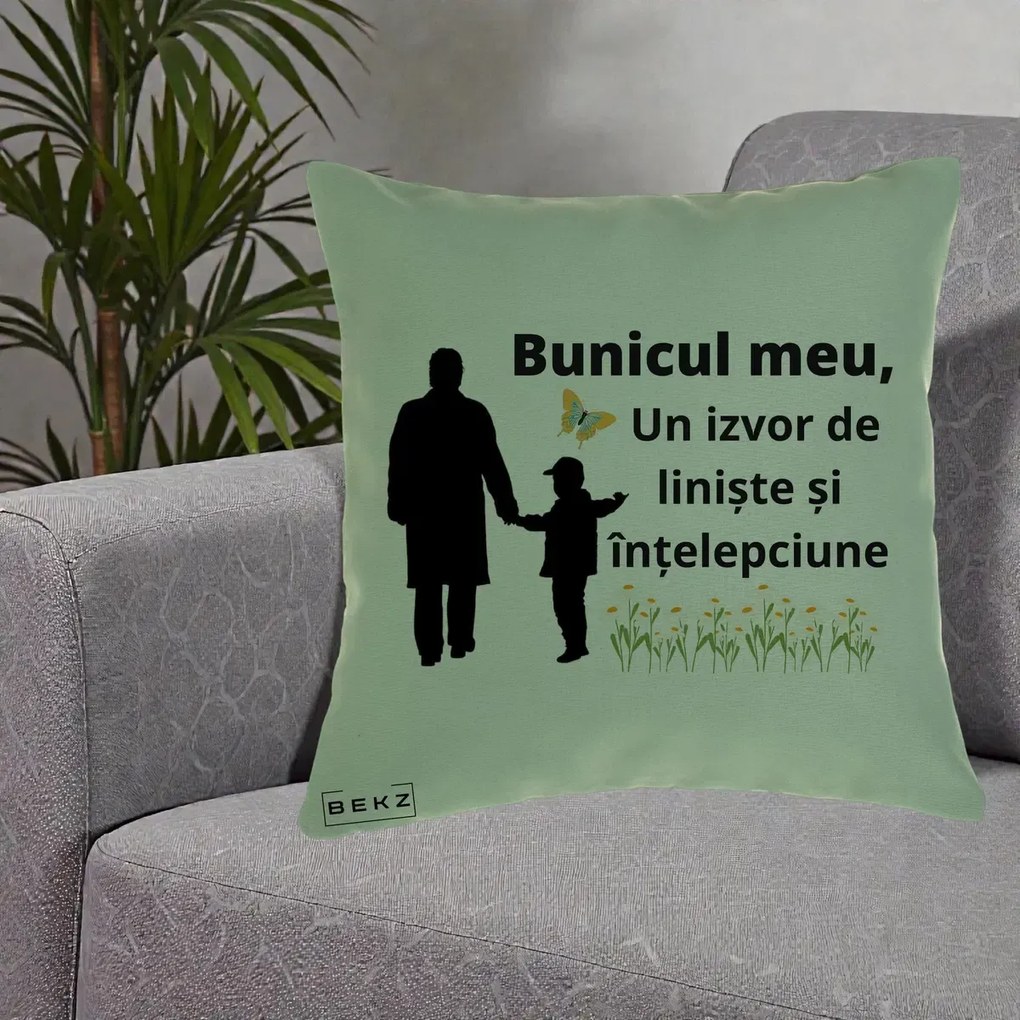 Cadou pentru Bunic - Perna Personalizata Bunicul Meu Izvor de Liniste cu Fluture si Baietel, 40x40 cm, Verde, Husa Detasabila, Perna Inclusa, BEKZ®