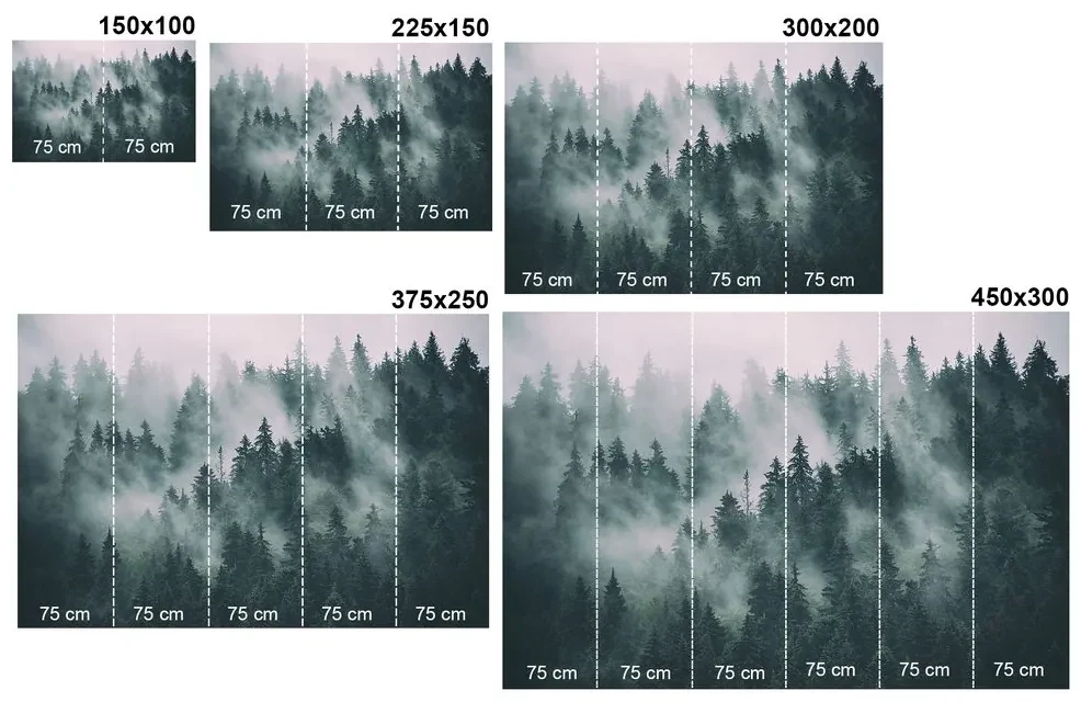 Fototapet autoadeziv misterul pădurii (2)
