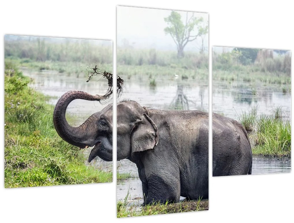 Tablou - Elefant de scăldat (90x60 cm)