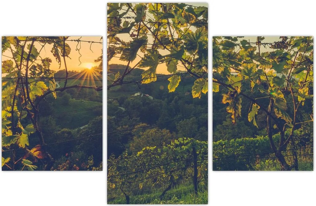 Tablou - Podgorii (90x60 cm)