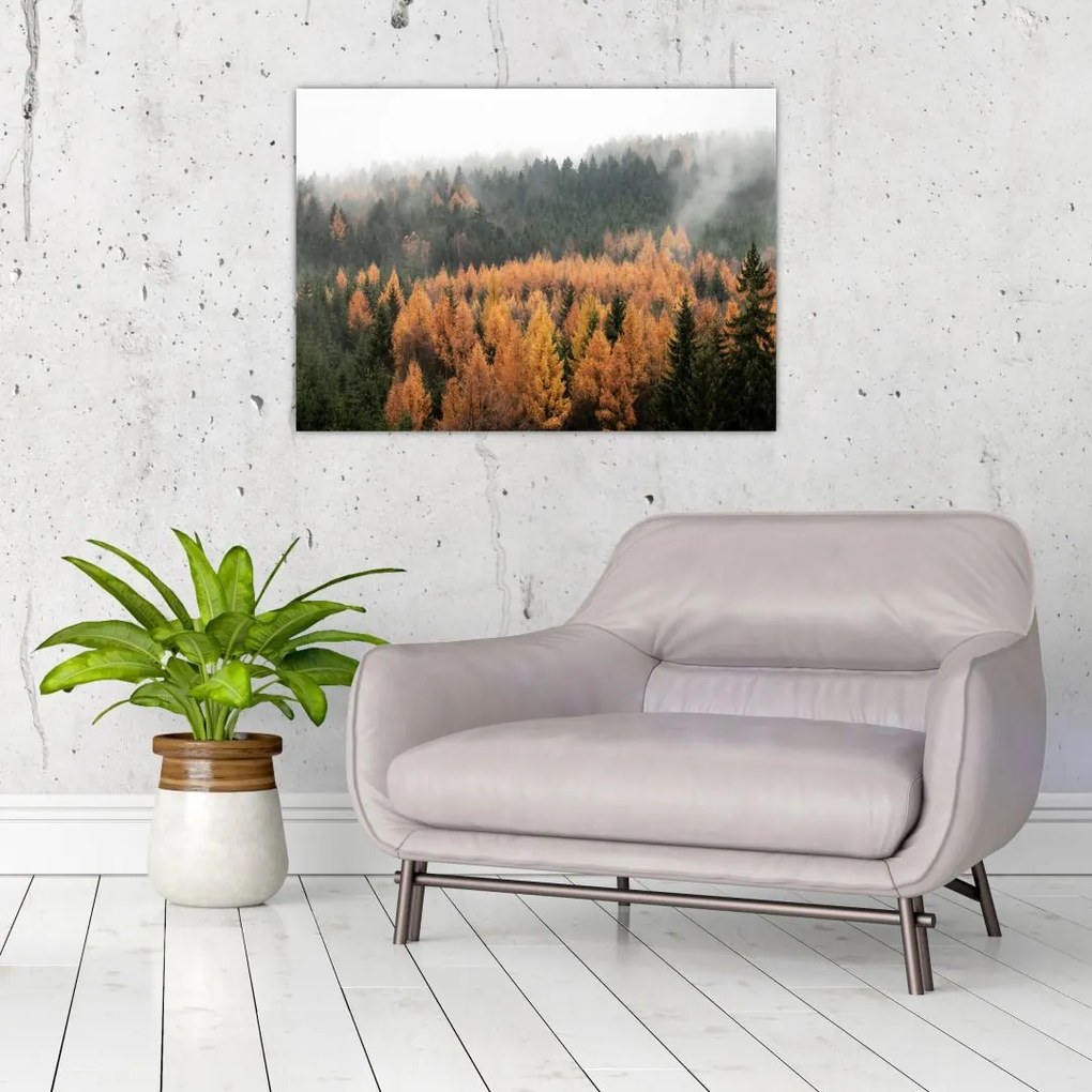 Tablou pe sticlă - Pădure toamna (70x50 cm)