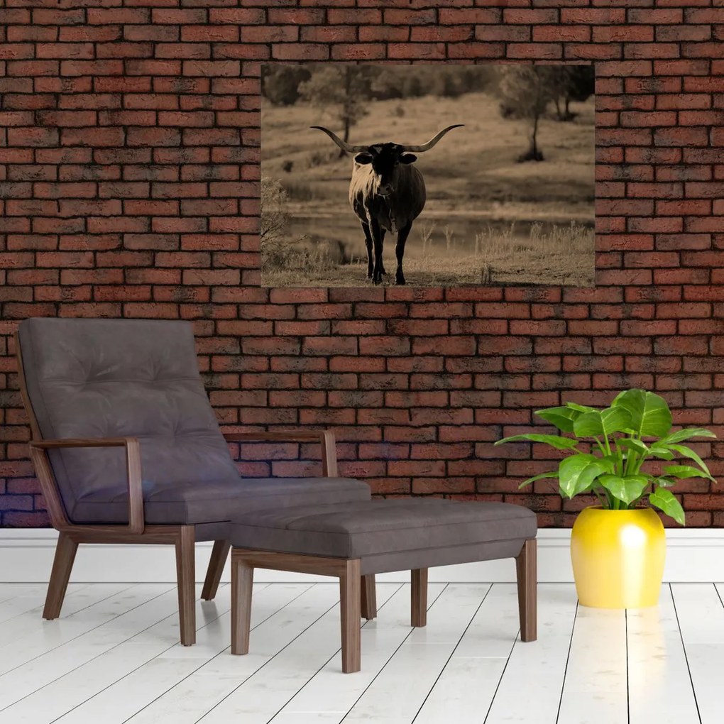 Tablou - Vacă din Texas (90x60 cm)