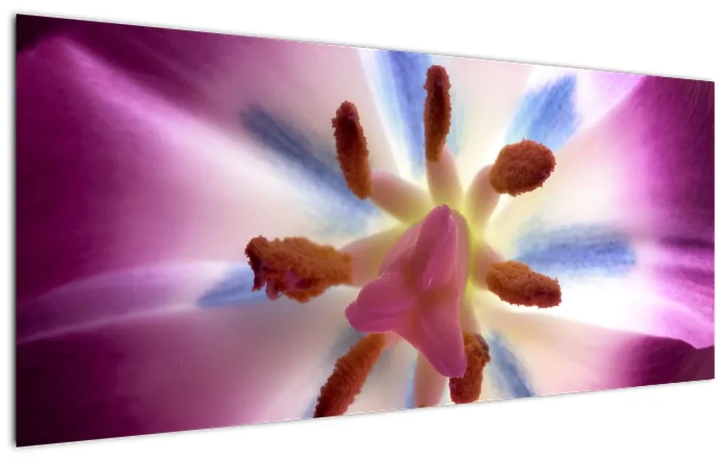 Tablou - Laleaua detailat (120x50 cm), în 40 de alte dimensiuni noi