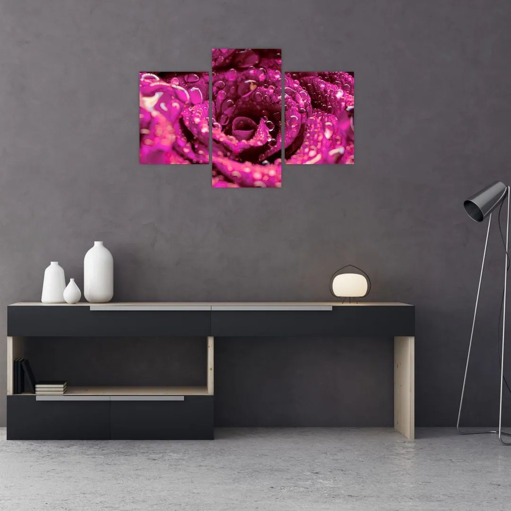 Tabloul cu floarea trandafirului roz (90x60 cm)