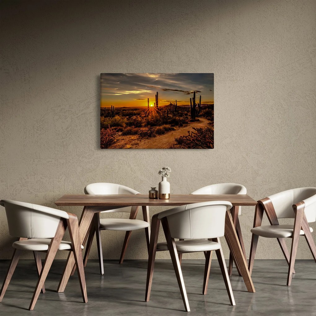 Tablou - Sfărșit de zi în deșertul Arizona (90x60 cm)