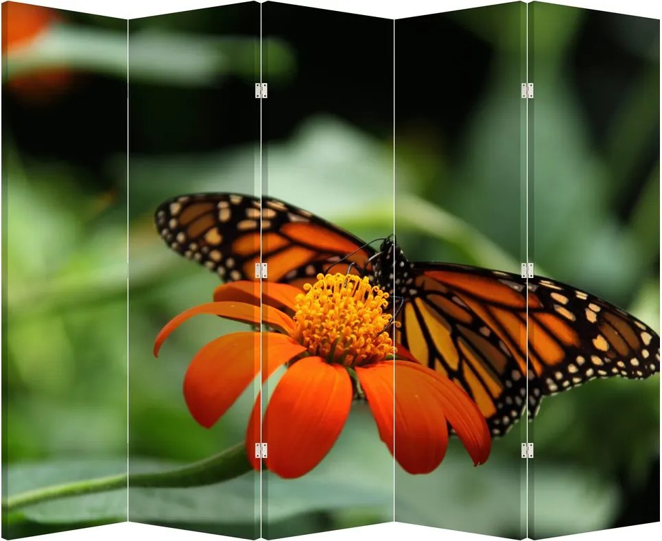 Paravan - Fluture pe floare (210x170 cm)