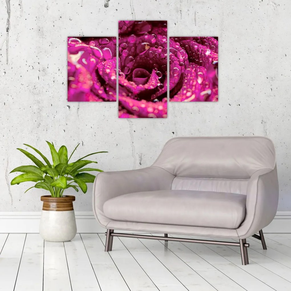 Tabloul cu floarea trandafirului roz (90x60 cm)