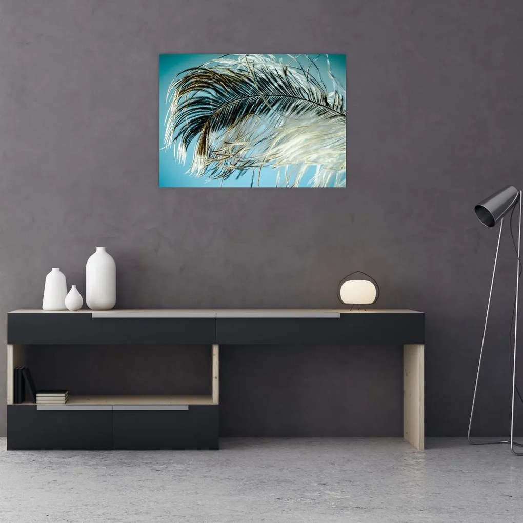 Tablou pe sticlă cu pană (70x50 cm)