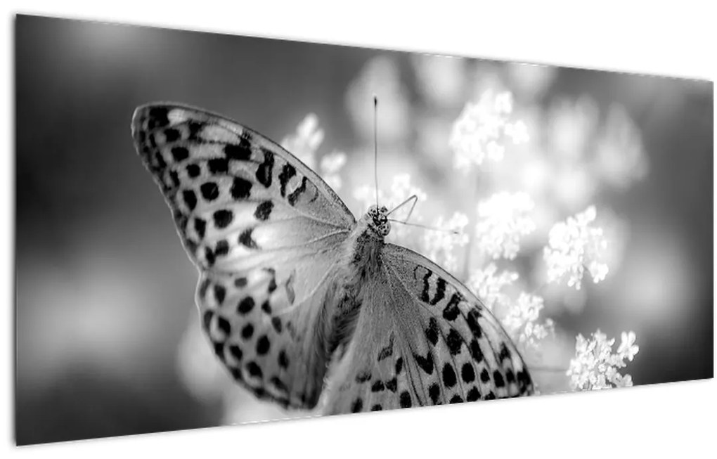 Tablou - Detailu cu fluture care polenizează floare (120x50 cm)