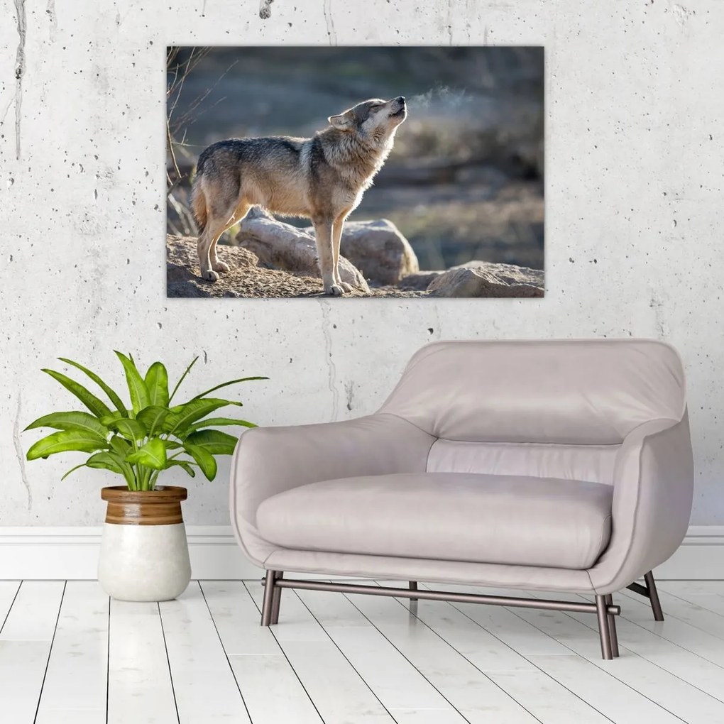 Tablou - Lupul urlător (90x60 cm)