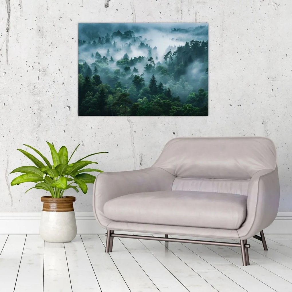 Tablou pe sticlă - Pădure în Ceață (70x50 cm)
