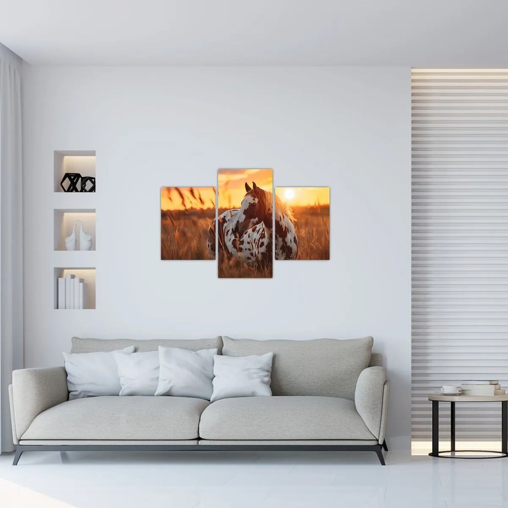Tablou - Cal la Apus (90x60 cm)