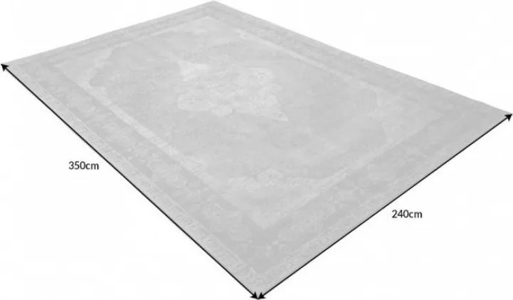 Covor Pure Unique 350x240cm, gri deschis