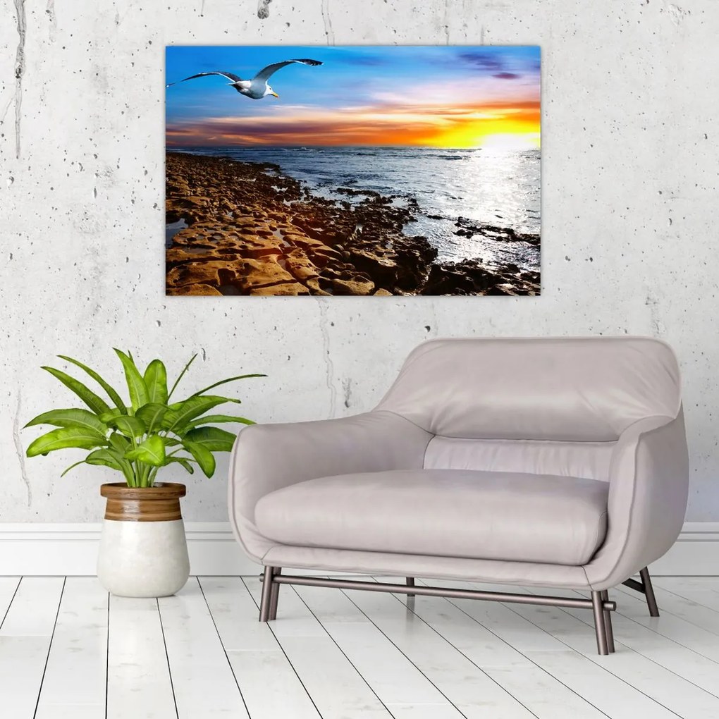 Tablou - Pescărușul zboară deasupra coastei (90x60 cm)