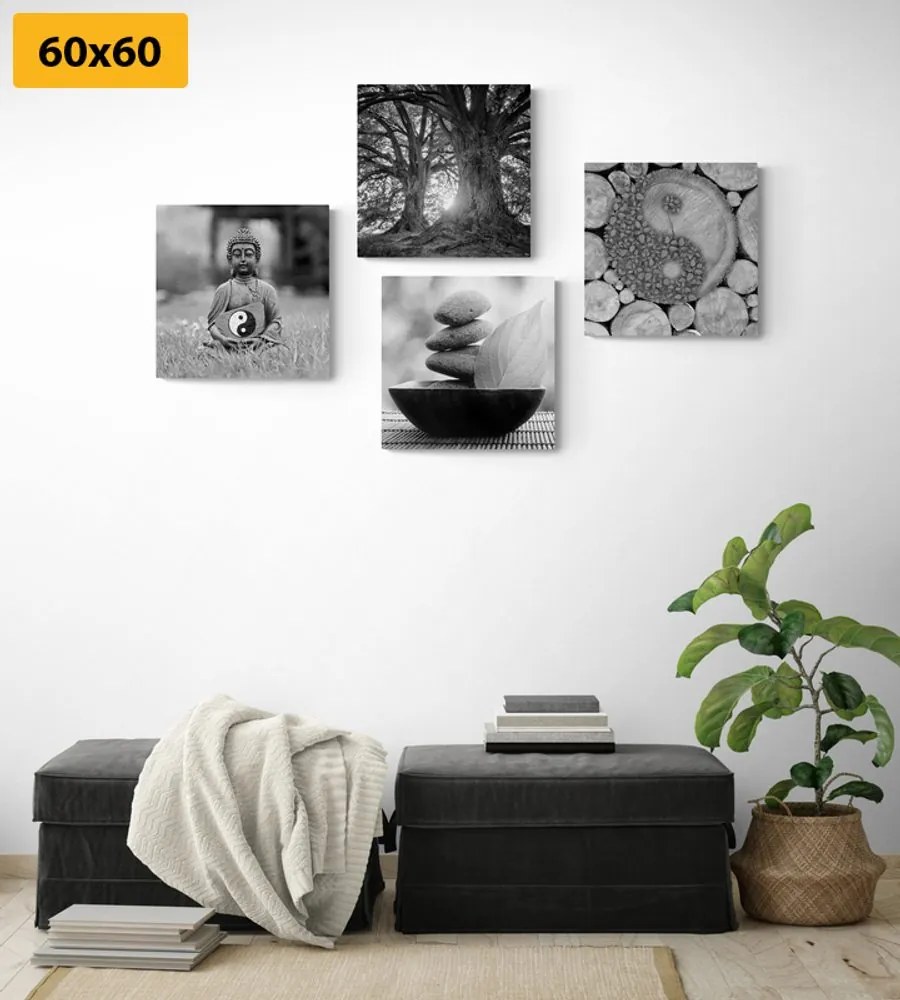 Set tablouri în stilul Feng Shui alb-negru