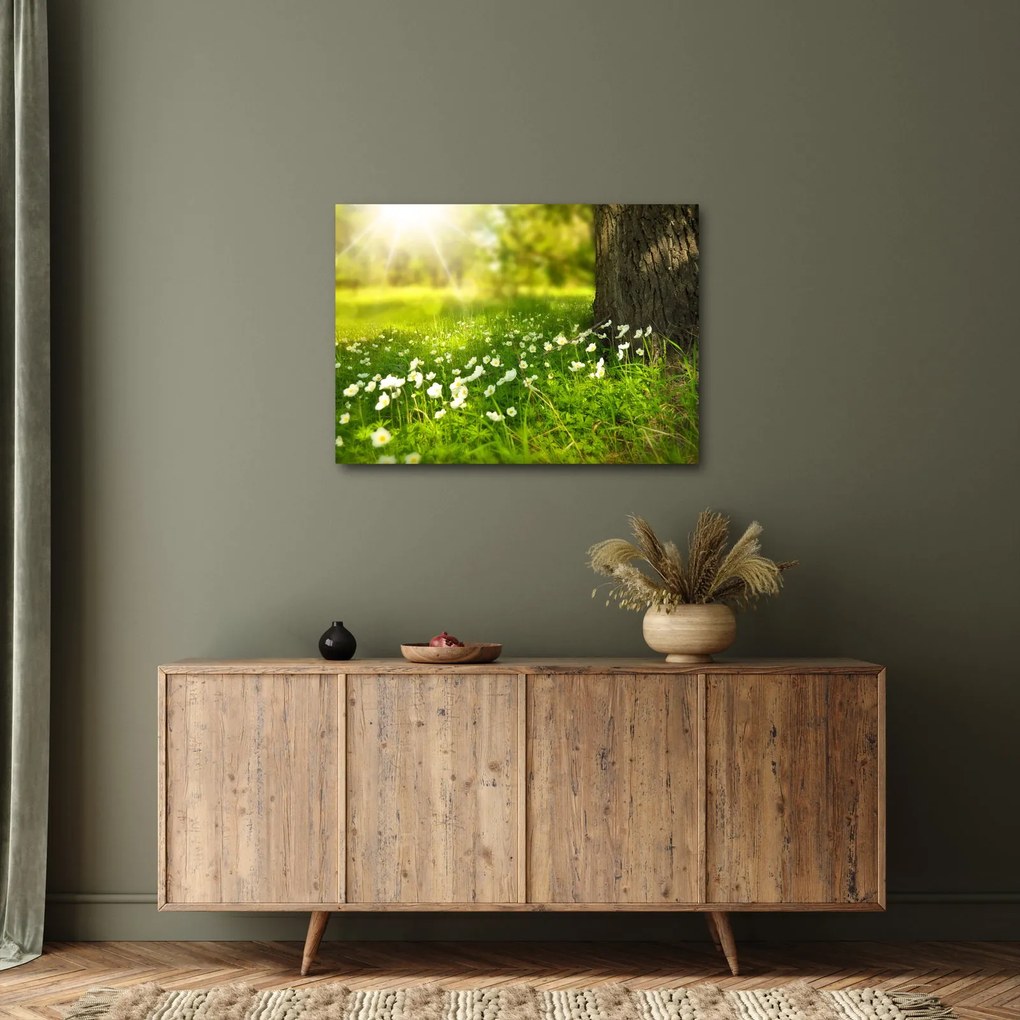 Tablou cu poiana și flori (70x50 cm)