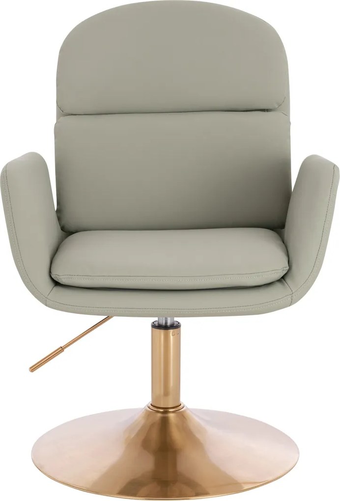 HR480N Scaun Culoarea Inului Piele Ecologica Premium Soft cu Bază Aurie