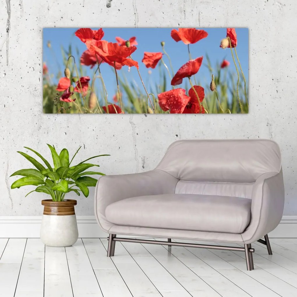 Tablou - Maci (120x50 cm)