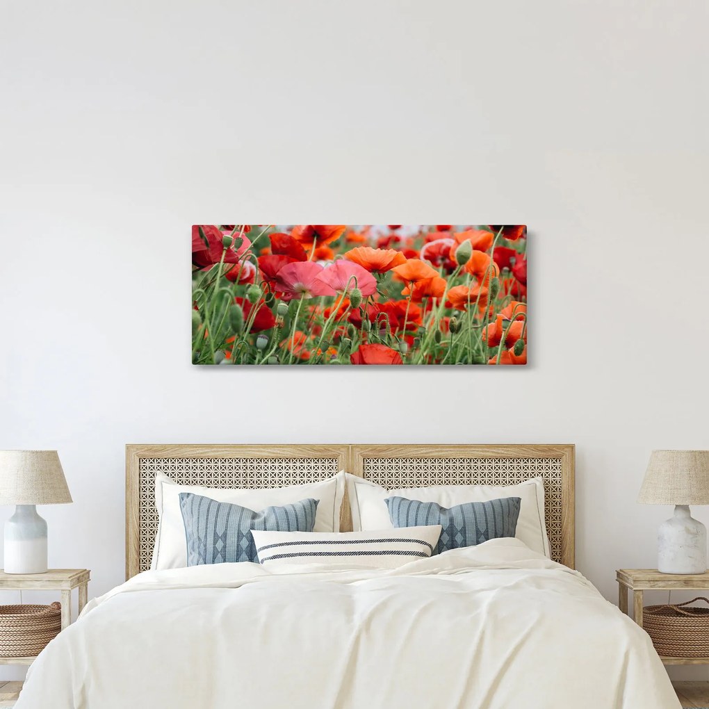 Tablou din câmp cu maci (120x50 cm)