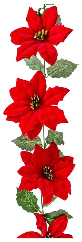 Beteală de Crăciun 180 cm Poinsettia – Casa Selección