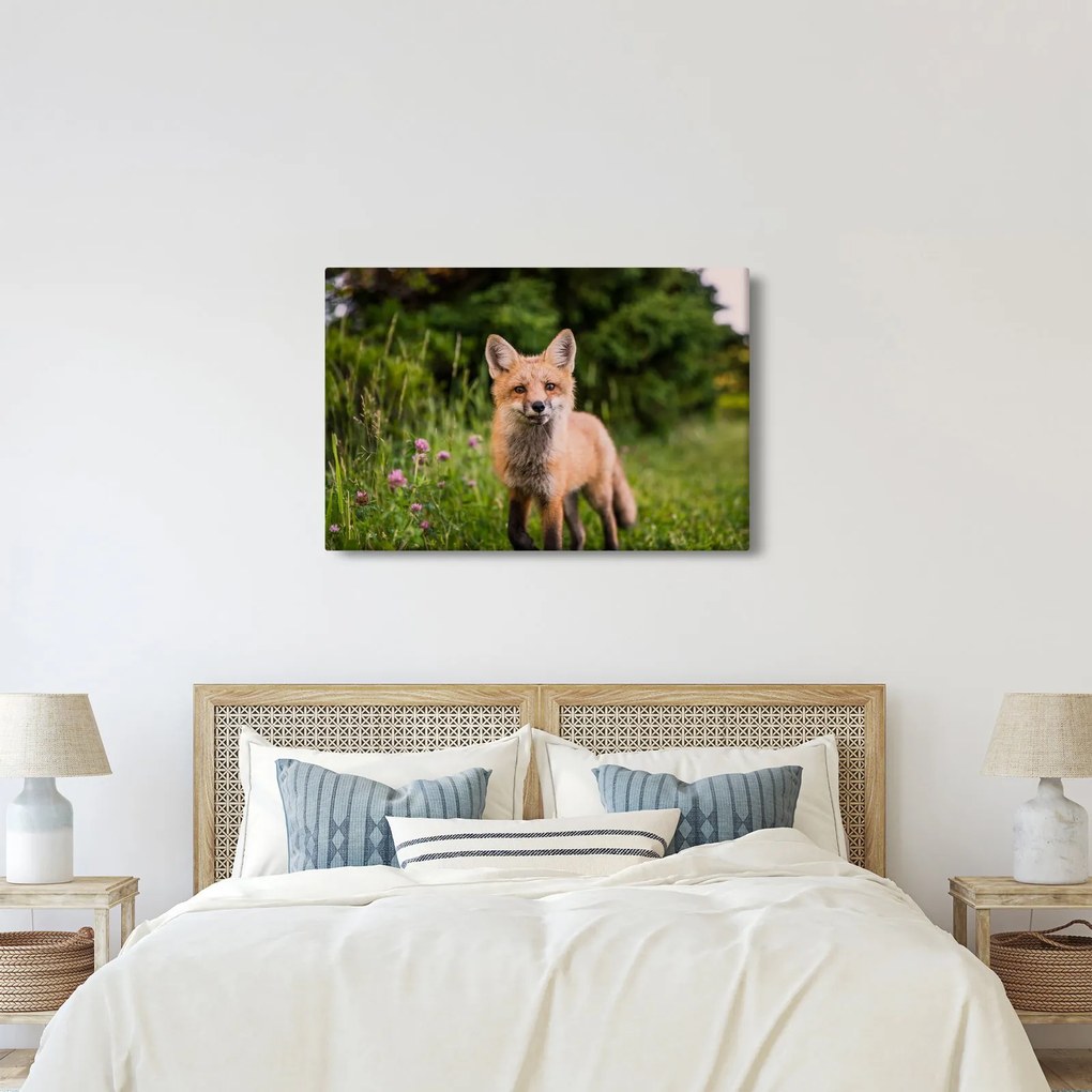 Tablou cu vulpe (90x60 cm)