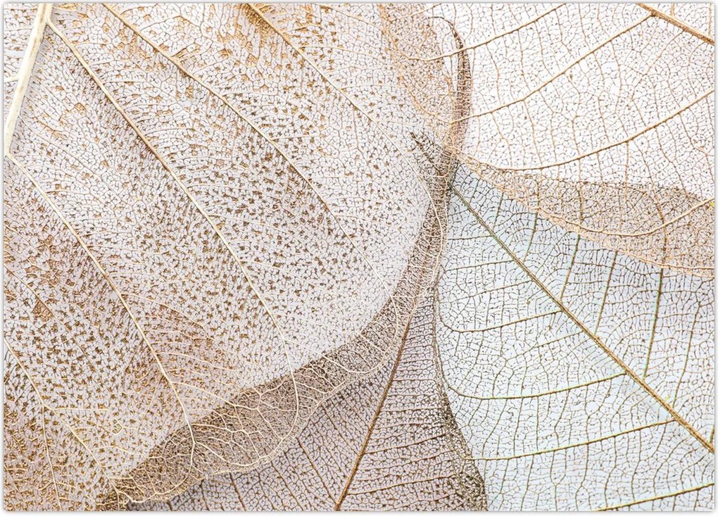 Tablou - Frunze bej (70x50 cm)