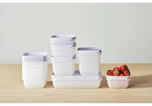 Set de recipiente SmartStore de plastic pentrucongelator 6 buc, lavanda, 300 ml, 300 ml
