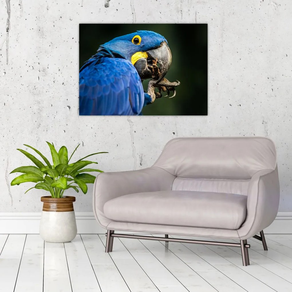 Tablou cu papagal (70x50 cm)