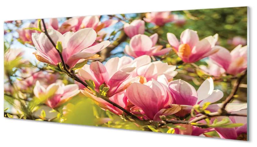 Tablouri acrilice magnolie roz