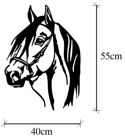Decorațiune de perete 55x40 cm metal cal