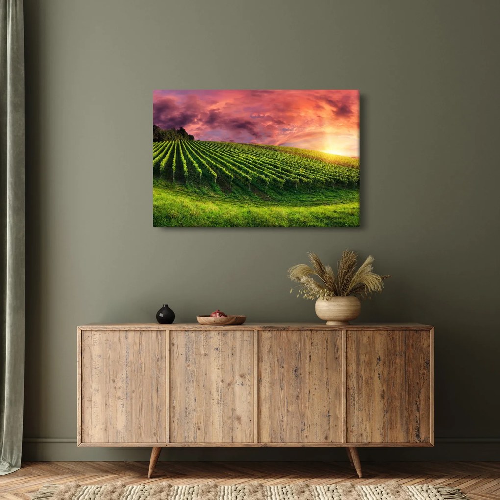 Tablou cu vie cu cerul color (90x60 cm)