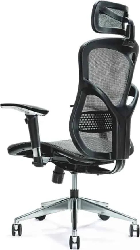 Scaun lemn masiv de birou ErgoFlex - Verde