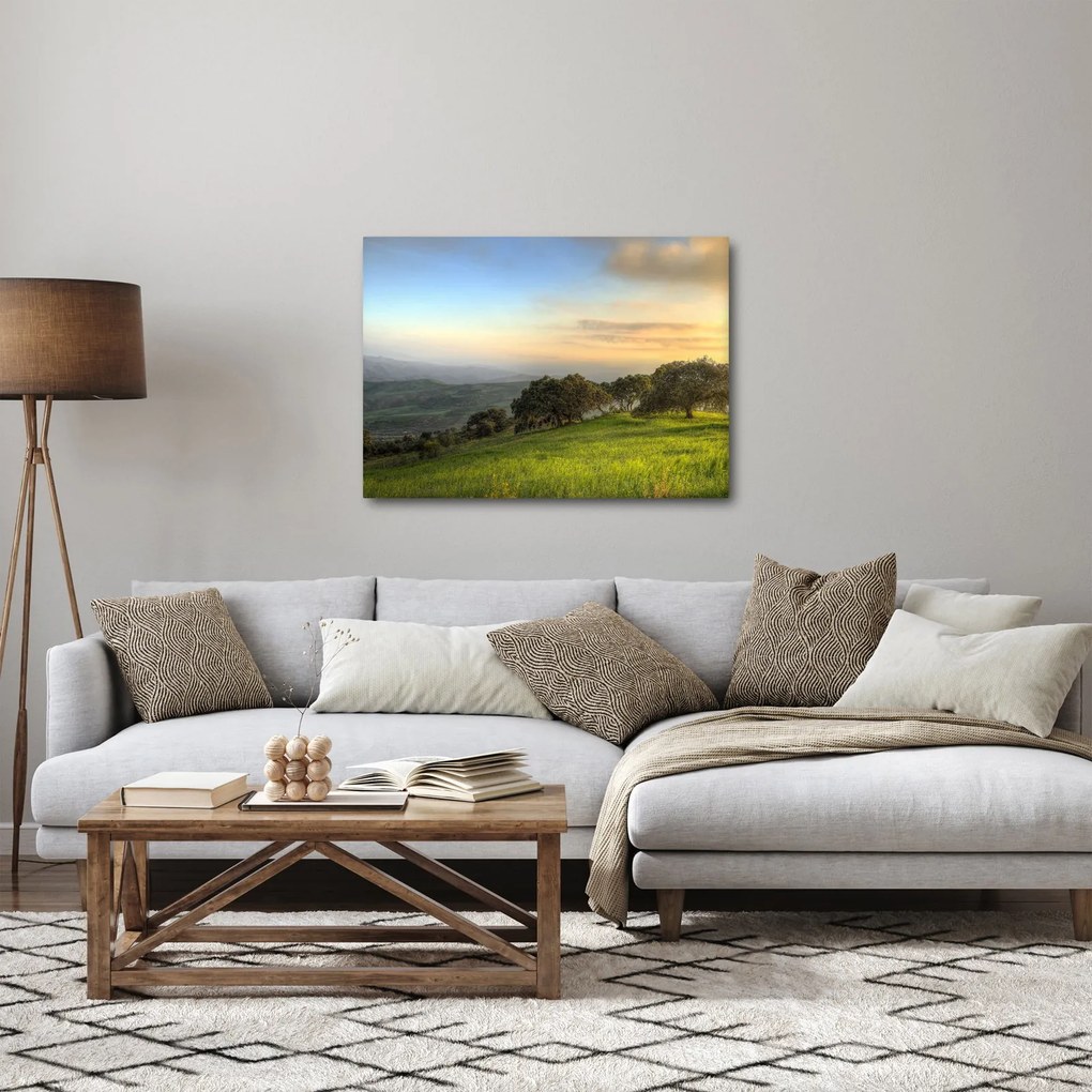 Tablou - Privire de pe deal (70x50 cm)