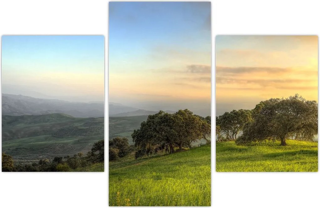 Tablou - Privire de pe deal (90x60 cm)