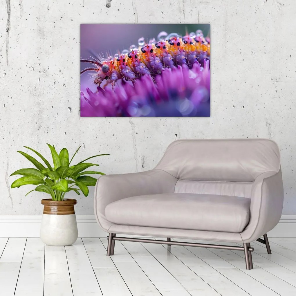 Tablou pe sticlă - Caterpillar (70x50 cm)