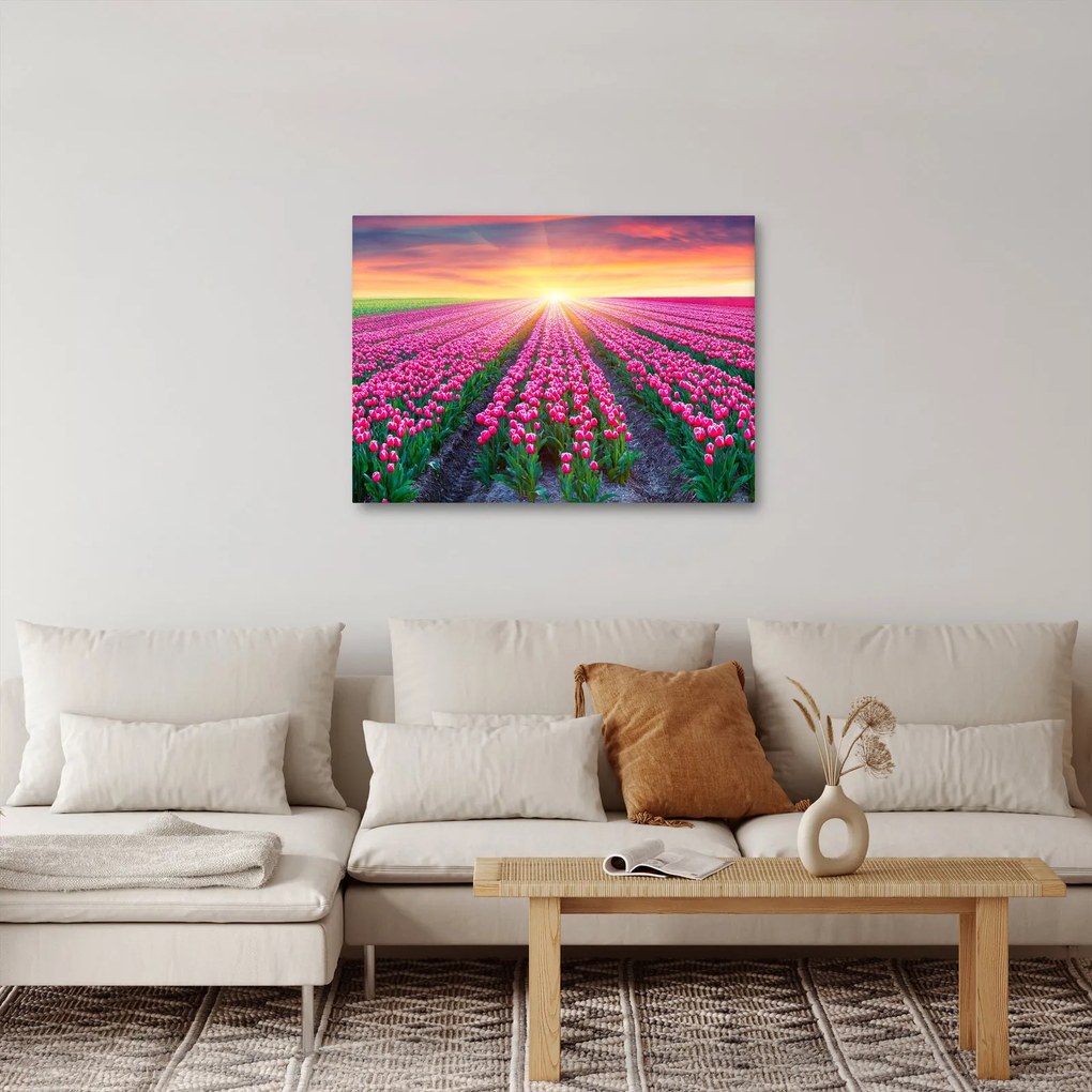 Tablou cu câmp de lalele cu soare (70x50 cm)