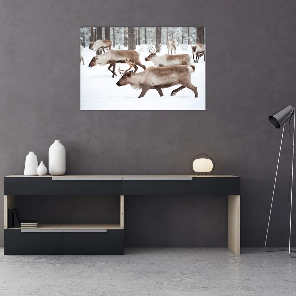 Tablou - Renul (90x60 cm)