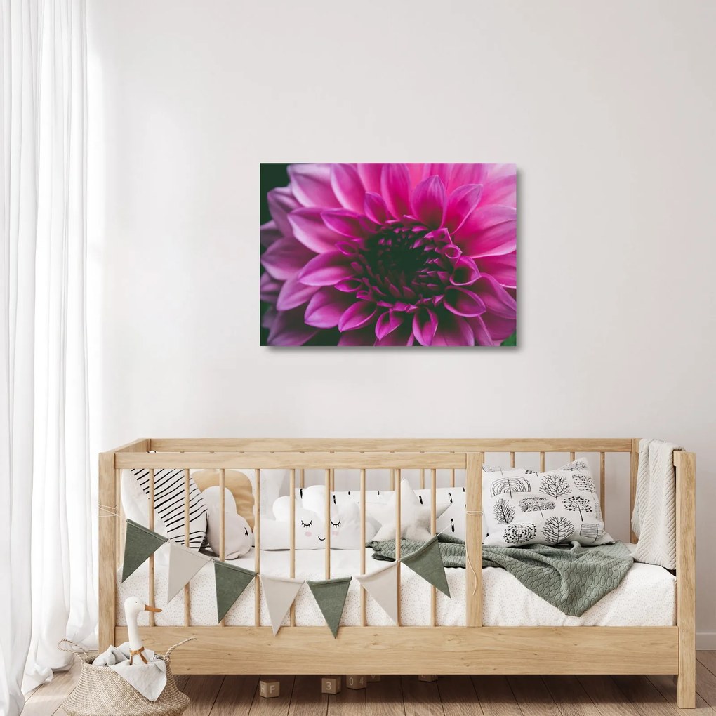 Tablou pe sticlă cu floarea roz (70x50 cm)