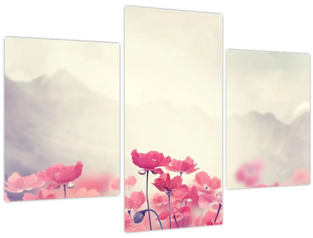 Tablou - Maci (90x60 cm)