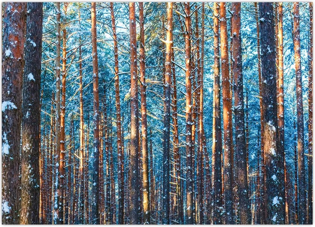 Tablou - Pădurea iarna (70x50 cm)