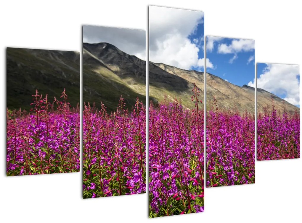 Tablou sceneriei cu lunca montană (150x105 cm)