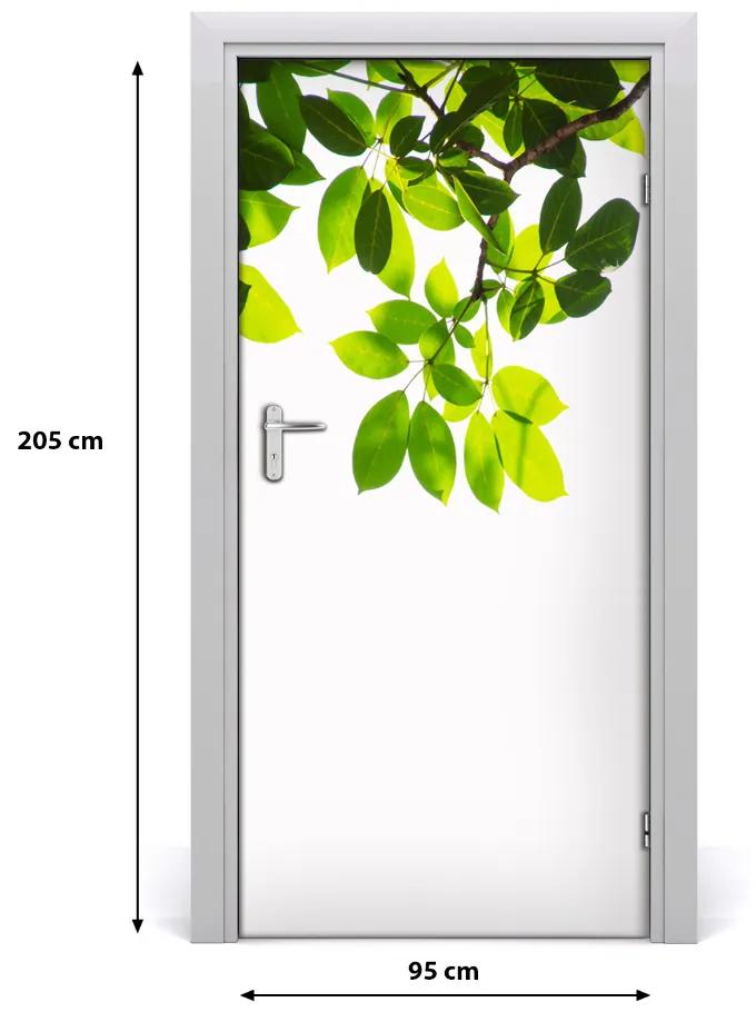 Autocolante pentru usi autocolant de perete furnir frunze ușă verde