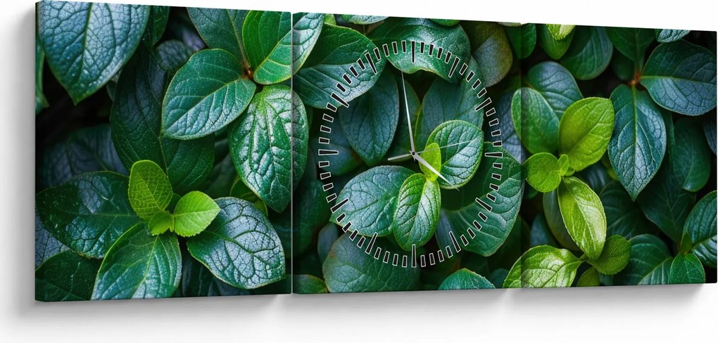 Tablou - Plante verzi (cu ceas) (90x30 cm)